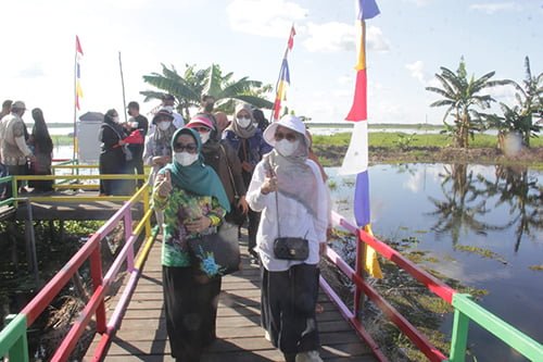 Lensa HSU GAMBAR 1 4