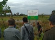 40 Hektare Lahan di Kalsel Kasus Korupsi PT Asuransi Jiwasraya Disita dan Dilelang Kejaksaan Agung RI 32 40 Hektare Lahan di Kalsel Kasus Korupsi PT Asuransi Jiwasraya Disita dan Dilelang Kejaksaan Agung RI
