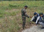 Dinas PU HST Cek Pengerjaan Perbaikan Mutu Jalan TMMD 13 Dinas PU HST Cek Pengerjaan Perbaikan Mutu Jalan TMMD