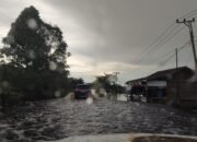 Dishub Kalteng: Kedalamam Banjir Tumbang Nusa Capai 70 cm.
