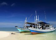 Kalimantan Tengah Sambut Migrasi Siaran TV Digital 27 Kalimantan Tengah Sambut Migrasi Siaran TV Digital