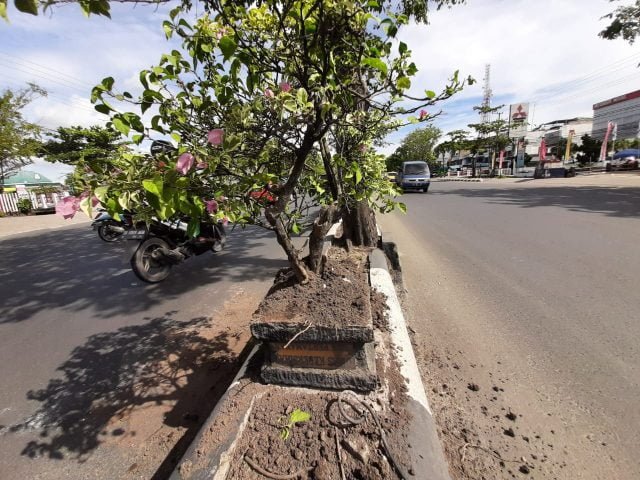 IMG 20211117 WA0102 scaled