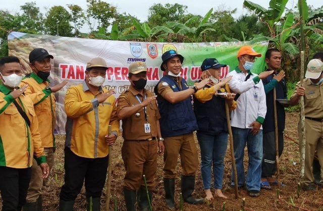 Martapura TANAM PERDANA 2 scaled