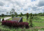 Kebun Raya Katingan, Lestarikan Pohon Buah Lokal Khas Kalteng