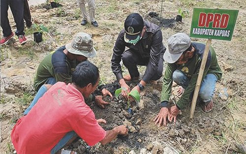 Legislator Kapuas Dukung Pengembangan Kebun Pisang di Desa Saka Lagun 1 16 Foto Kapuas 11