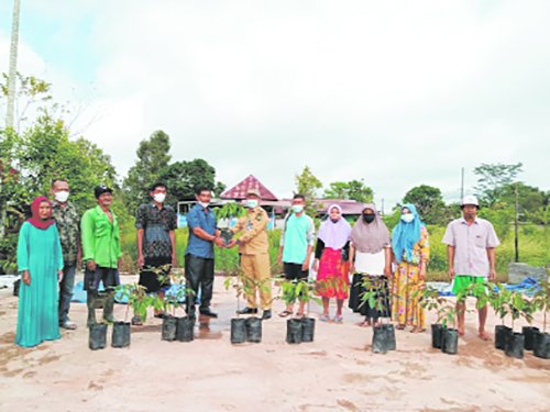 Legislator Kapuas salurkan bantuan bibit buah durian untuk warga Selat Utara 1 16 kapuas 1