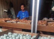 Harga Telur Ayam Ras Sentuh Rp32.000 per Kilogram