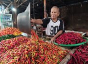 Harga Cabai Rawit Melonjak Lebih Mahal dari Daging