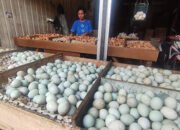 Dekati Nataru 2022, Harga Bapok Melambung