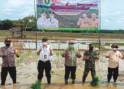 Petani Adalah Pejuang Gigih, Berdedikasi Tinggi Cegah Kelaparan