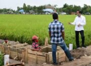 Program Food Estate Temui Masalah