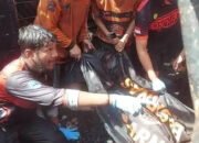 Bocah 6 Tahun Ditemukan Tewas Terbakar 14 Bocah 6 Tahun Ditemukan Tewas Terbakar