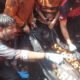 5 terbakar 4klm