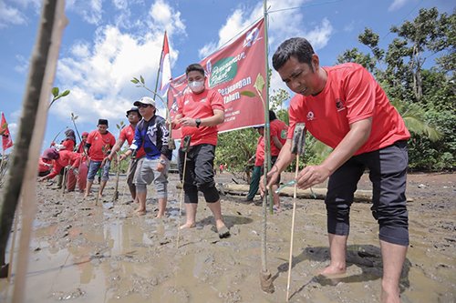 Hal 9 4 KLm mangrove