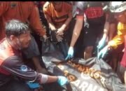 Terlalu Banyak yang Nonton Ketimbang Beraksi 34 Terlalu Banyak yang Nonton Ketimbang Beraksi
