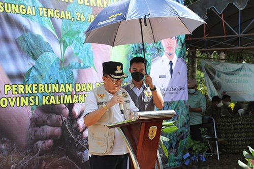 Wabup Hadiri Gerakan Tanam Kopi Provinsi Kalsel 1 hal 2 HST 1 3 klm 10