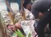 Saderi Tewas Bersimbah Darah 17 Saderi Tewas Bersimbah Darah