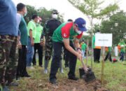 Pokdarwis Mentaos Make Over Wisata Hutan Pinus Jadi Spot Wedding