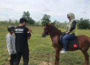Jd Hour Club Tawarkan Rekreasi Sambil Naik Kuda