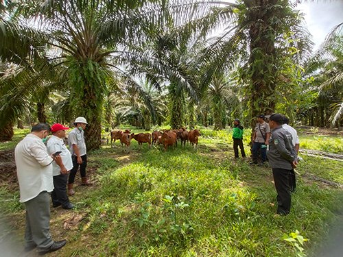 hal 11 Tala 3 klm 10