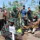 15 Kalteng 3 Korem 102 Panju Panjung tanam sejuta pohon