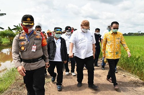 15 Kalteng HL Gubernur Kalteng H Sugianto Sabran saat meninjau kawasan food estate