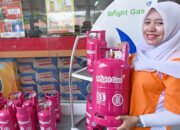 Dikeluhkan Naiknya LPG Nonsubsidi