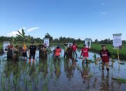 Jelang Ramadhan, Petani di Batola Gelar Tanam Raya