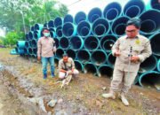 Kucing-kucingan dengan Anjing Liar