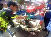 Damkar Berhasil Evakuasi Biawak Berat Sepikul