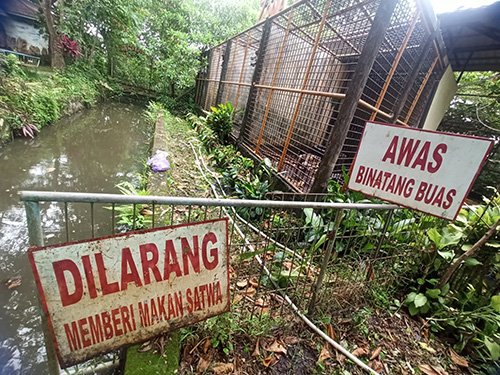 Tak Bisa Larang Pengunjung yang Datang 1 Hal 10 3 Klm Jahri Saleh Satwa