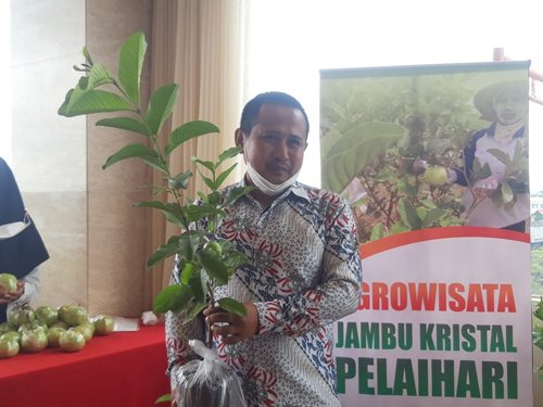 Hal 9 3 Klm Jambu Kristal