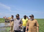 Ketua DPRD Kalsel Buka Jalan Penghubung Desa Sungai Nyiur