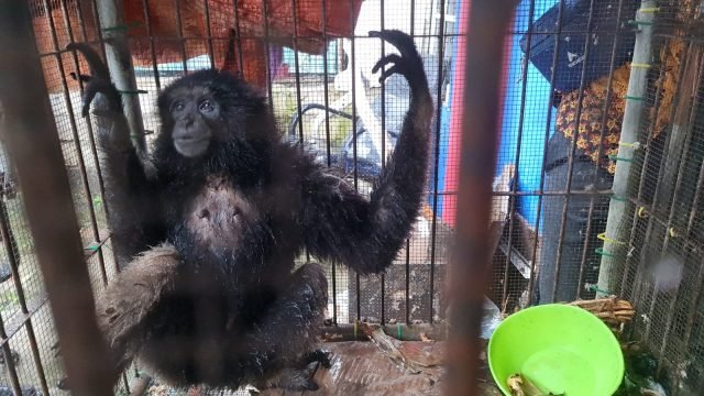 IMG 20220319 WA0007 scaled