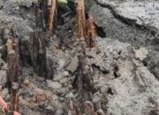 Dampak Hujan Lebat dan Tanah Lokasi Perbaikan Pipa Longsor Hambat Penyelesaian Pipa Bocor di Jalan Pramuka 20 Dampak Hujan Lebat dan Tanah Lokasi Perbaikan Pipa Longsor Hambat Penyelesaian Pipa Bocor di Jalan Pramuka