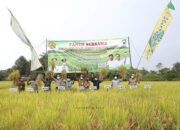 Kesiapan Penyangga Pangan IKNSukamta Yakin Petani Tala Lahirkan Varietas Padi Unggulan
