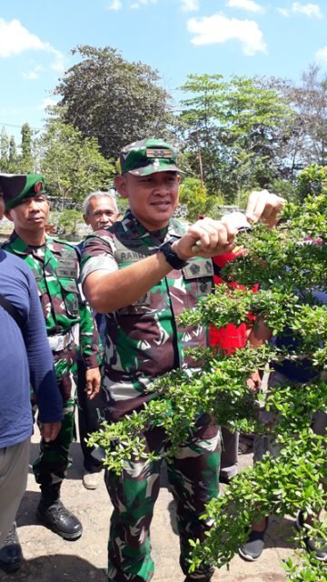 hal 12 Tanbu 25 klm 9 scaled