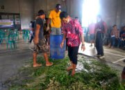 Pengembangan Fermentasi Pakan Ternak UMKM Peternak Binaan di Kotabaru