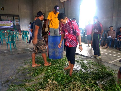 Pengembangan Fermentasi Pakan Ternak UMKM Peternak Binaan di Kotabaru 1 hal 16 K Baru 3 klm 7