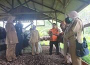 Kalteng Kawal Pelaku UMKM untuk Go Internasional