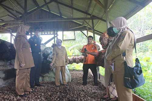 15 Kalteng 2 Tim melakukan peninjauan lapangan ke salah satu petani atau pelaku usaha