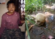 Heboh Tengkorak Bocah, Ternyata Korban Perkosaan-Mutilasi