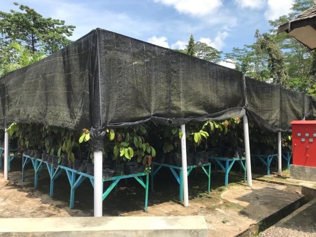 IMG 20220413 WA0023 scaled