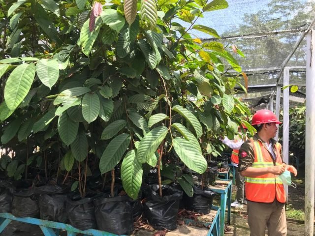 IMG 20220413 WA0024 scaled