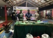 Sambut HBP Ke-58, Rumar Sehati Ajak APH Kab. Barito Kuala Razia Gabungan 16 Sambut HBP Ke-58, Rumar Sehati Ajak APH Kab. Barito Kuala Razia Gabungan