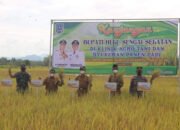 Bupati Hadiri Syukuran Panen Padi di Desa Tabihi 24 Bupati Hadiri Syukuran Panen Padi di Desa Tabihi