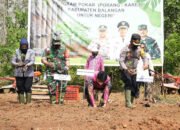 Petani Diminta Tanam Porang Secara Tumpang Sari Dengan Karet