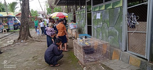 Hal 10 2 Klm Satwa Kebun binatang