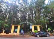 Dishut Kalsel akan Tambah Sarpras Hutan Kota Pinus Banjarbaru