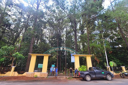 Dishut Kalsel akan Tambah Sarpras Hutan Kota Pinus Banjarbaru 1 Hal 10 3 Klm Iwan Hutan kota 1